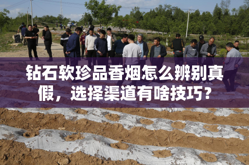 钻石软珍品香烟怎么辨别真假，选择渠道有啥技巧？